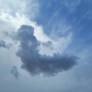 Meet your Posher, Alia